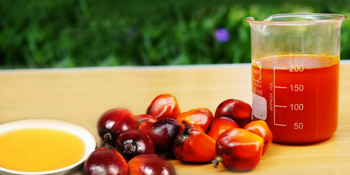 GAPKI: Harga CPO Akan Terus Membaik