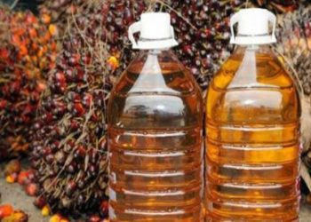 GAPKI: Harga CPO Akan Terus Membaik