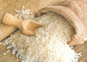 Indonesia Juara, Beras Buton Utara Serbu Jerman