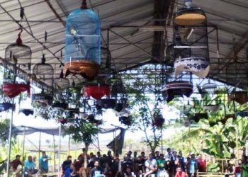 Ketika Kicau Burung Menggerakkan Ekonomi