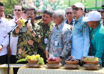 Mentan: Potensi Mangga Indonesia Jadi Modal Utama Tingkatkan Kinerja Ekspor Buah