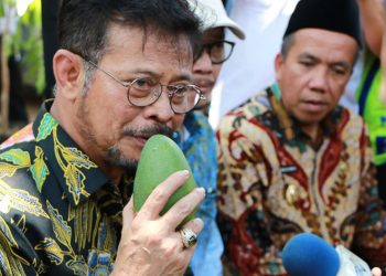 Mentan: Potensi Mangga Indonesia Jadi Modal Utama Tingkatkan Kinerja Ekspor Buah