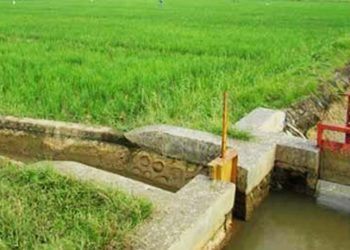 Menteri Basuki Bakal Bangun Irigasi Baru Seluas 500 Ribu Hektar