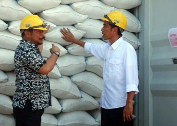 Stok Beras Natal dan Tahun Baru Aman, Mentan: Tahun Depan Kita Siap Ekspor