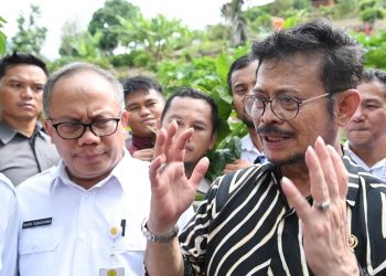 Optimalkan Lahan, Mentan Syahrul Sarankan Lakukan Intercropping