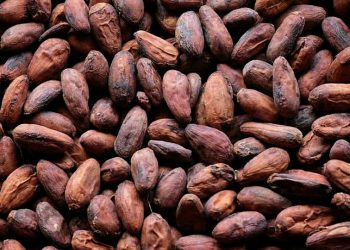 Periode Januari 2020: BK CPO Nol dan Biji Kakao 5%