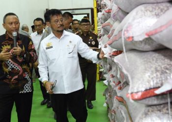 Kunjungan di Jember, Mentan Syahrul Apresiasi Produsen Benih Nasional
