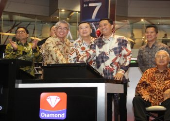 Pencatatan Saham Perdana Diamond