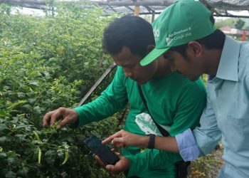 Pemanfaatan Aplikasi Pertanian