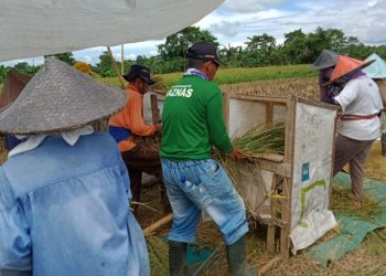 BAZNAS Dorong Bantuan Produksi Pertanian di Serang