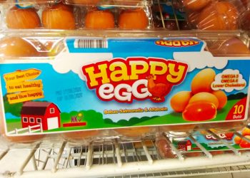 Antisipasi Pandemi Baru, LSM Internasional Temukan Praktik Kandang Telur Baterai Yang Berisiko di Indonesia