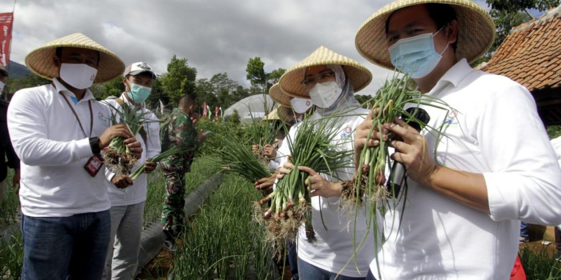 Edukasi Urban Farming