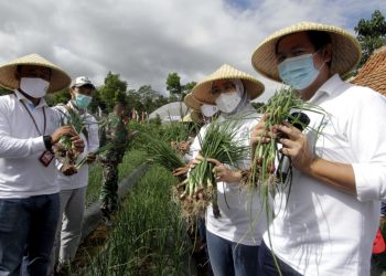 Edukasi Urban Farming
