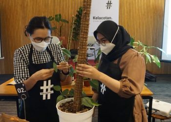 Park 5 Simatupang tawarkan Kelas Belajar Bercocok Tanam Ala Kelacotan