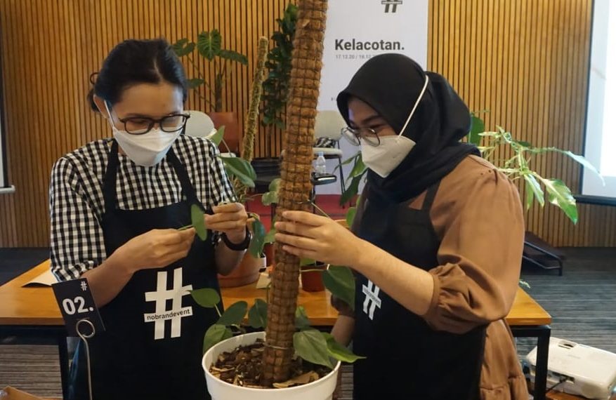 Park 5 Simatupang tawarkan Kelas Belajar Bercocok Tanam Ala Kelacotan