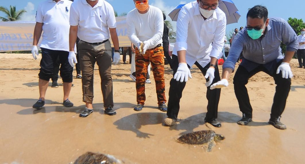 Jaga Kelestarian Alam, BTN Lakukan Konservasi Terumbu Karang dan Pengembangan Tukik