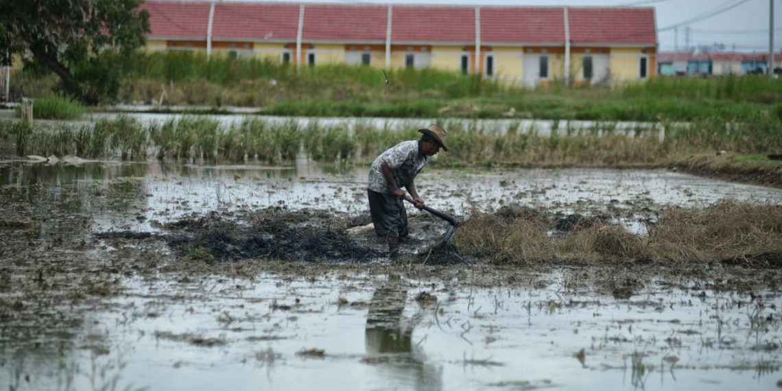 HPI: Harga Rumah Naik Kerena Permintaan di Masa Pandemi Naik