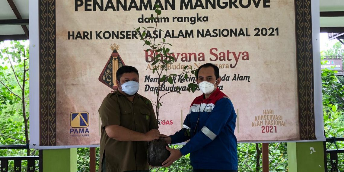 Peringati Hari Konservasi Alam, Pertagas Kalimantan Area Gelar Kegiatan Pelestarian Ekosistem Mangrove
