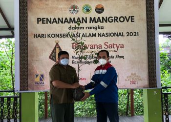 Peringati Hari Konservasi Alam, Pertagas Kalimantan Area Gelar Kegiatan Pelestarian Ekosistem Mangrove