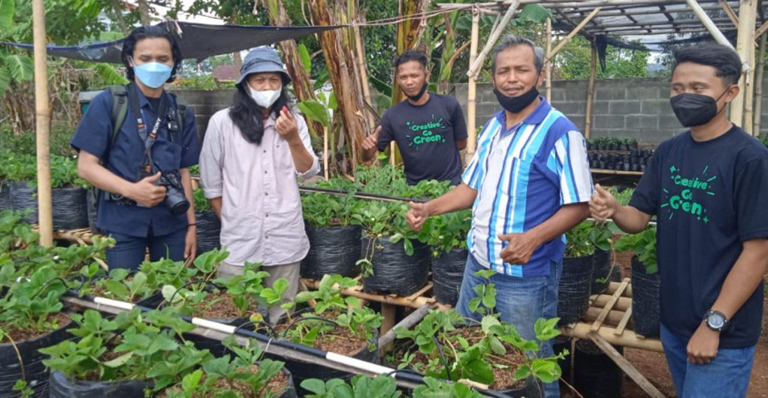 Jamkrindo dan Salarea Foundation Siapkan Program Rumah Semai