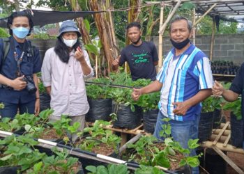 Jamkrindo dan Salarea Foundation Siapkan Program Rumah Semai