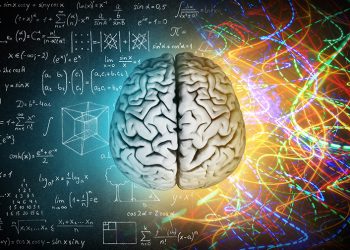 Pahami Otak Manusia yang Mudah Mengikuti Perubahan