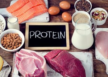 Hindari Makan Berlebihan Saat Liburan, Konsumsi Sumber Protein yang Sehat