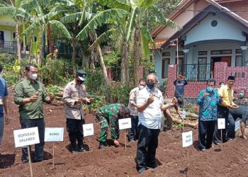 Jamkrindo Lakukan Penguatan Ekonomi Petani Garut