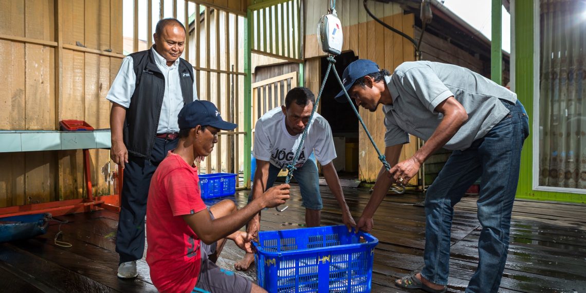 Berdayakan Nelayan, Mitra Binaan Pertamina Hulu Mahakam Manfaatkan Apartemen Ikan