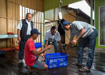 Berdayakan Nelayan, Mitra Binaan Pertamina Hulu Mahakam Manfaatkan Apartemen Ikan