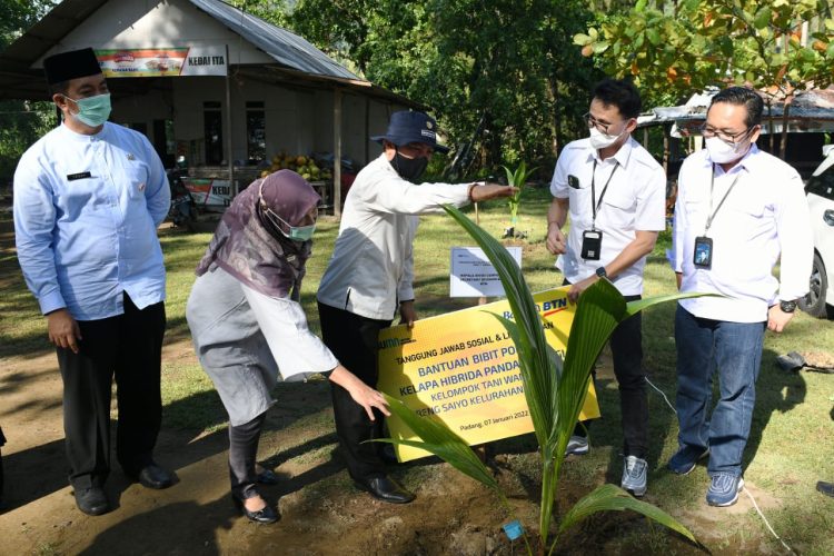 BTN Dorong Penanaman Bibit Kelapa Hibrida