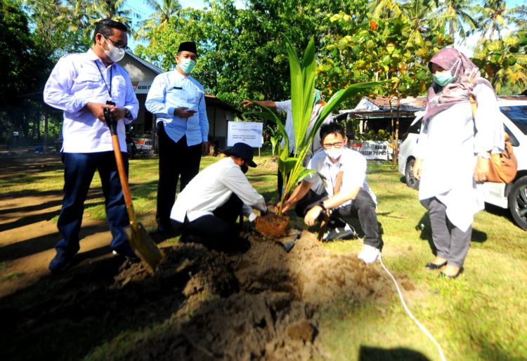 BTN Dorong Penanaman Bibit Kelapa Hibrida