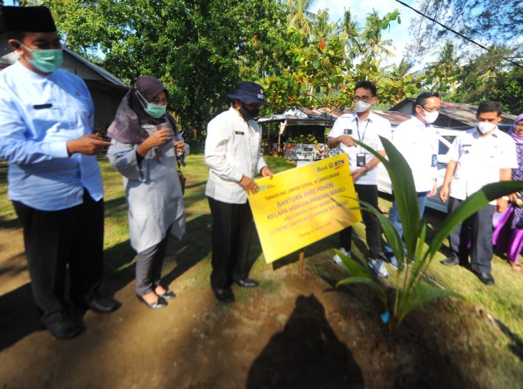 BTN Dorong Penanaman Bibit Kelapa Hibrida
