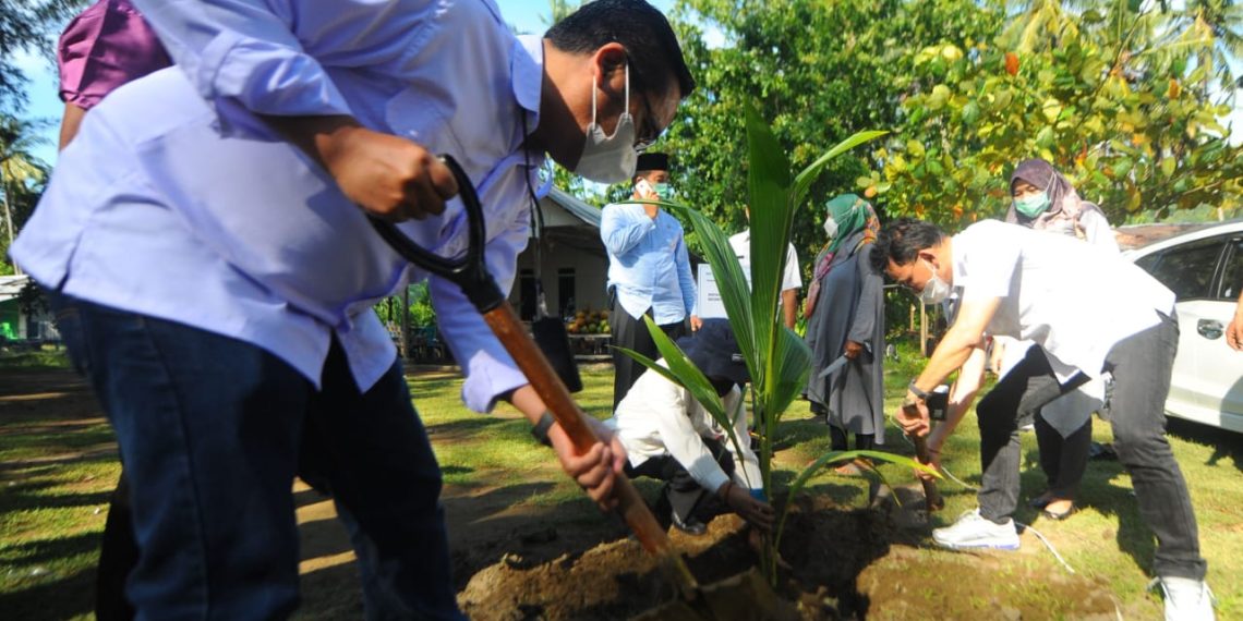 BTN Dorong Penanaman Bibit Kelapa Hibrida