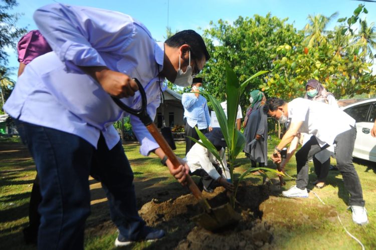 BTN Dorong Penanaman Bibit Kelapa Hibrida