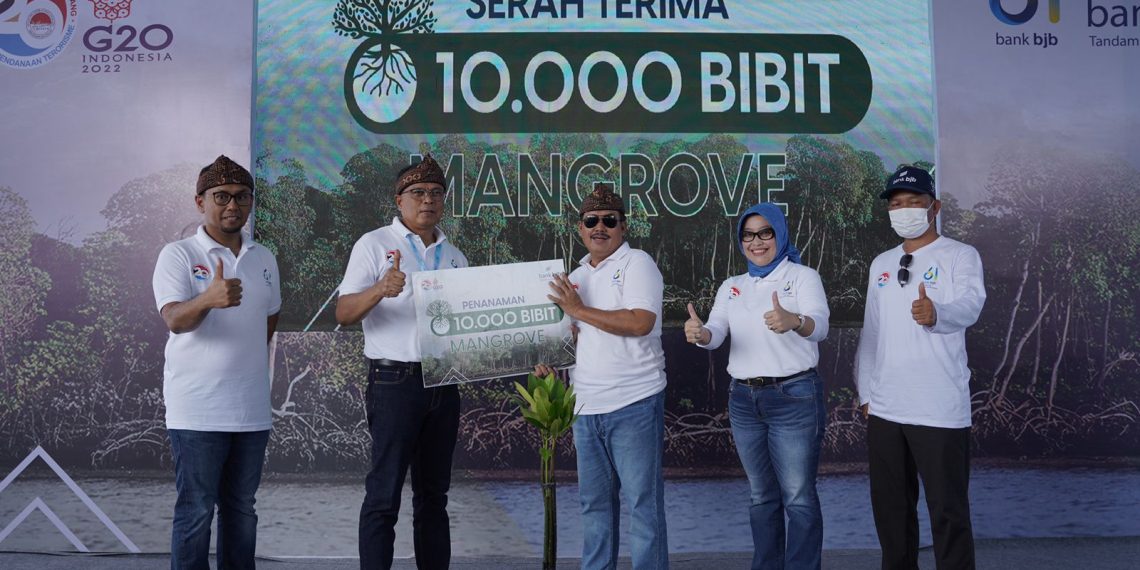 Tanam 2061 Pohon Mangrove, bank bjb Dukung Indonesia Tanpa Pencucian Uang dan Pendanaan Teroris