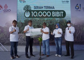 Tanam 2061 Pohon Mangrove, bank bjb Dukung Indonesia Tanpa Pencucian Uang dan Pendanaan Teroris