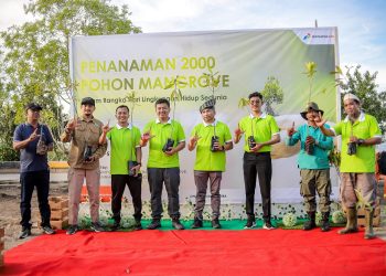 Pertamina Gas Tanam 2000 Mangrove di Hari Lingkungan Hidup Sedunia