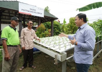 Pertamina EP Dukung Masyarakat Tingkatkan Produksi Dan Pemasaran Pertanian Organik Di Karawang