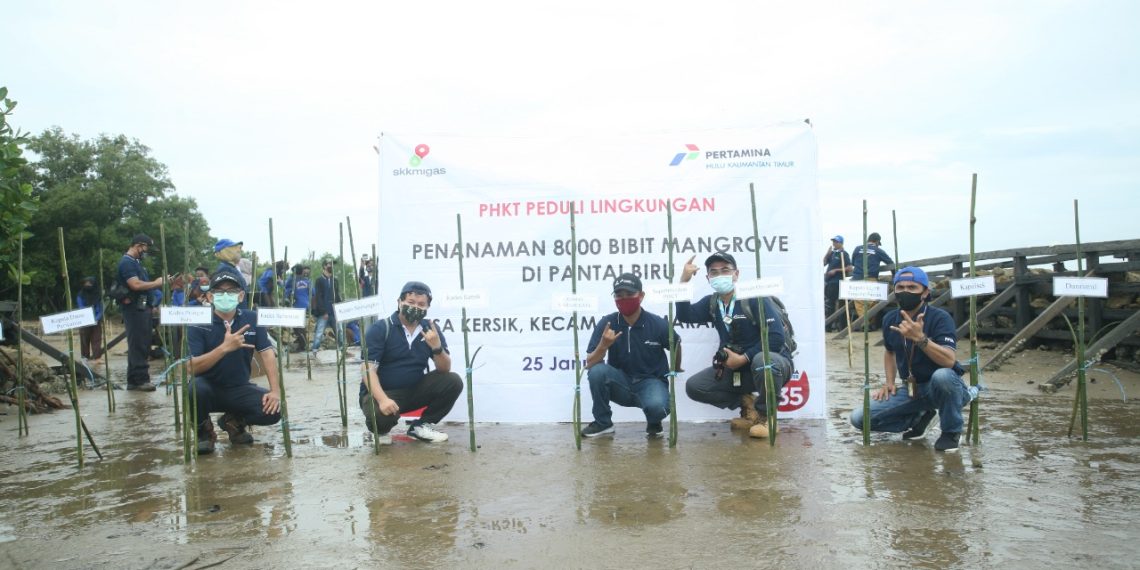 Dersik Siap Lawan Abrasi dan Tingkatkan Kesejahteraan Masyarakat Kersik