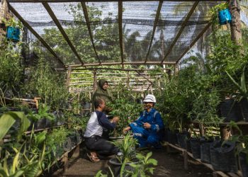Langkah Terukur MedcoEnergi Bangun Strategi Bisnis Berkelanjutan