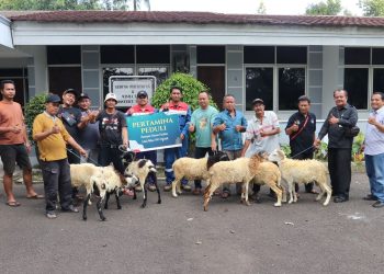 Pertagas Tebar Hewan Kurban  di Delapan Area Operasi