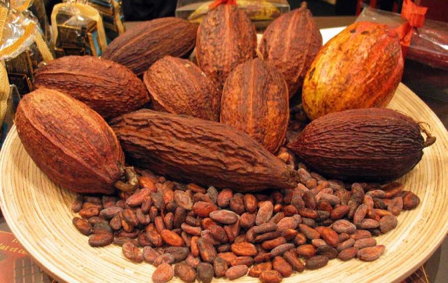 Industri Kakao Indonesia Sumbang 9,17% Pasar Global