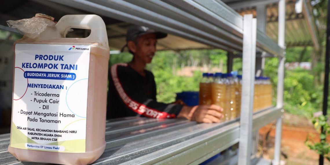 Anggrek Dewata: Program Inovatif PT Pertamina EP Limau Field untuk Pertanian Berkelanjutan