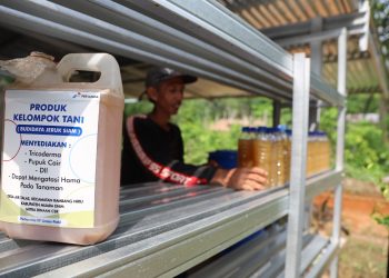 Anggrek Dewata: Program Inovatif PT Pertamina EP Limau Field untuk Pertanian Berkelanjutan