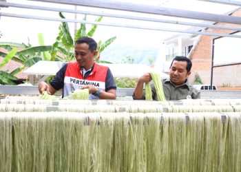 Libatkan Mitra Lokal, PEP Subang Field Kembangkan Inovasi Berkelanjutan dari Serat Olahan Daun Nanas