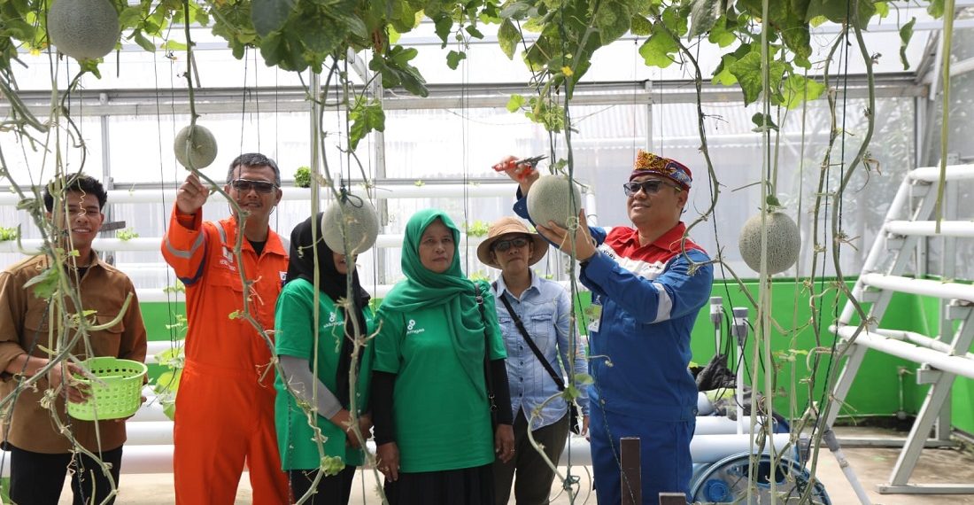 PT Pertamina EP Bunyu Field Kembangkan Inovasi Akar Pakis Mantap Betul