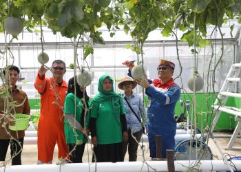 PT Pertamina EP Bunyu Field Kembangkan Inovasi Akar Pakis Mantap Betul