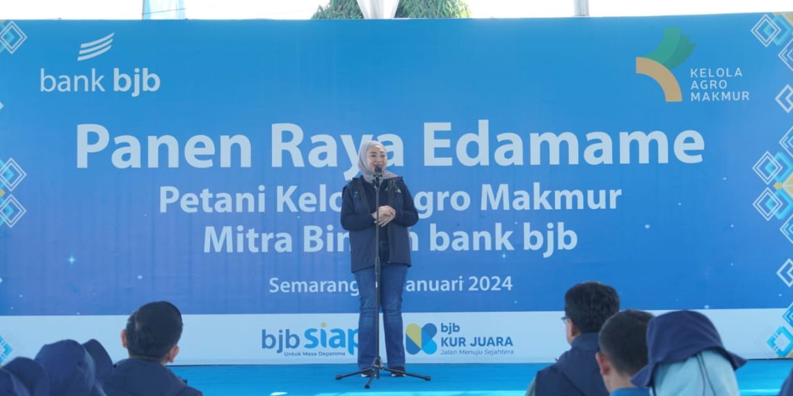 bank bjb Bersama Petani Mitra Binaan di Jawa Tengah Lakukan Panen Raya Komoditi Edamame