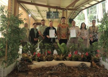 Langka di Dunia! Taman Safari Bogor Terima Empat Kura-kura Madagaskar Sitaan Badan Karantina Indonesia